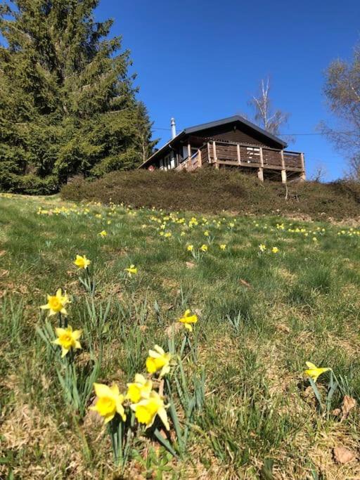 Le Chalet Des Coeurs Le Tholy Luaran gambar